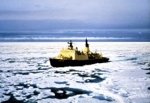 Zaman ekonomisinde… ya da 20 gün daha hızlı – Kuzeydoğu Geçidi’nin efendileri Ruslar ve kaybedenler yine Almanlar